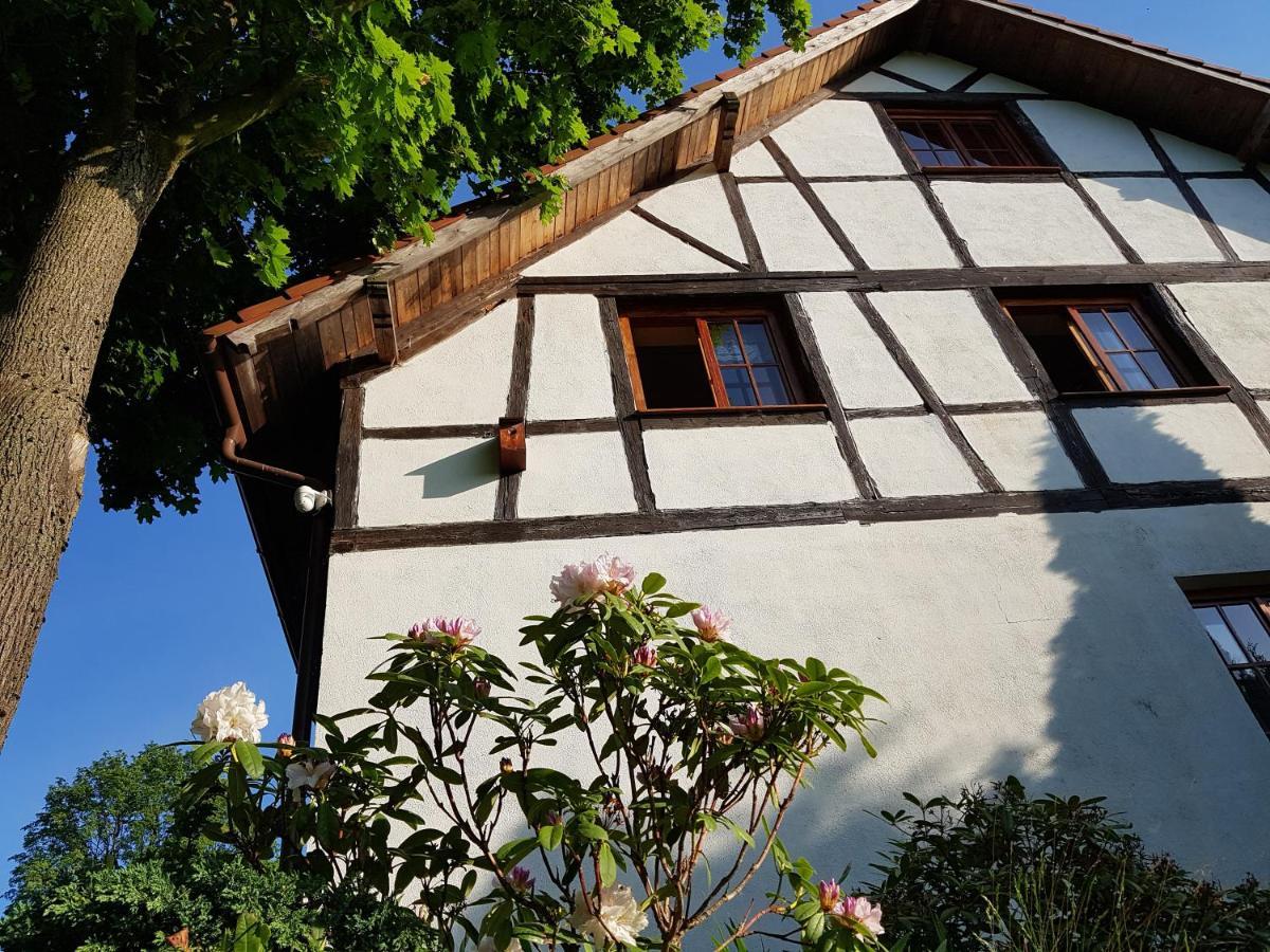 Agroturystyka Dowoli Świeradów-Zdrój Dış mekan fotoğraf